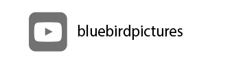 youtube bluebird